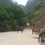 Vrsa 公寓 塞利讷