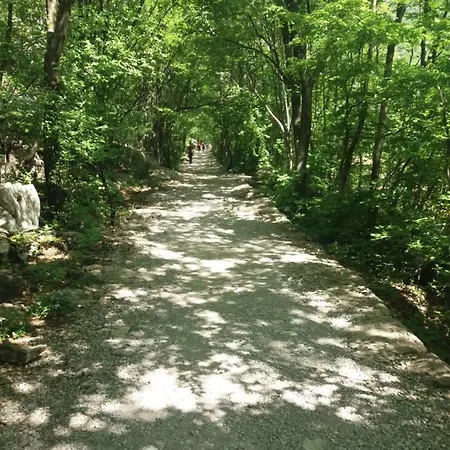 Vrsa شقة سيلين