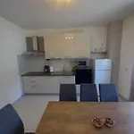 Vrsa *